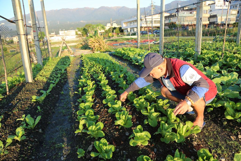 菜爺爺親子蔬宿vegepapa B&B Jiaoxi Buitenkant foto